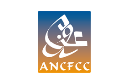 ANCFCC